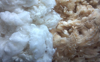 Wool Washing