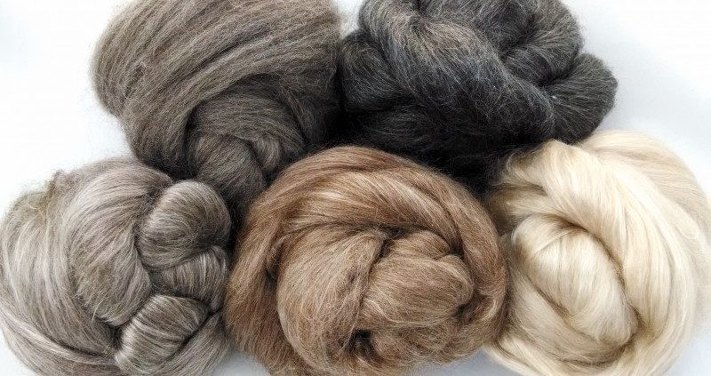 Camel, Yak, Alpaca, Silk and Merino Blends